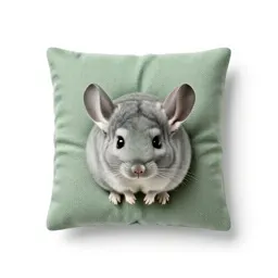 Chinchilla