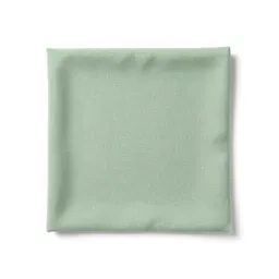 Lint