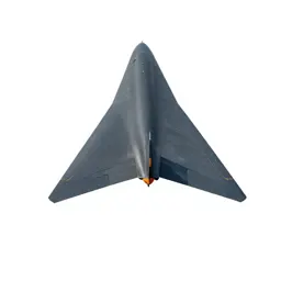 Delta wing