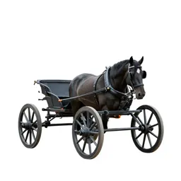 Horse cart