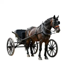 Horse-drawn vehicle