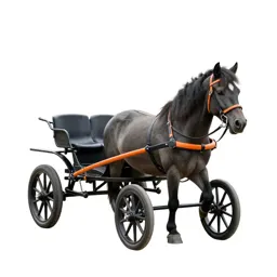 Pony cart