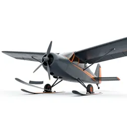Ski-plane
