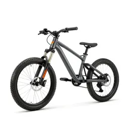 Trail bike