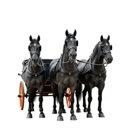 Troika