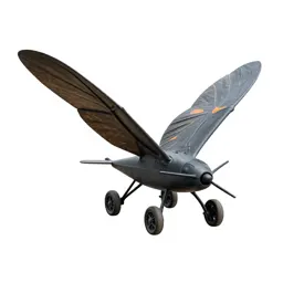 Orthopter