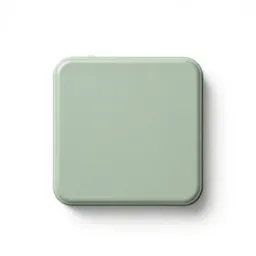 Reformatory