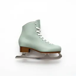 Rink