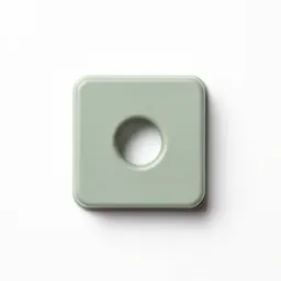 Tenon