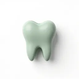 Tooth