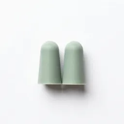 Earplug