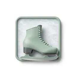 Ice rink