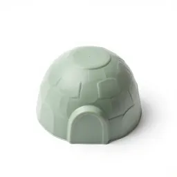 Igloo