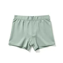 Briefs