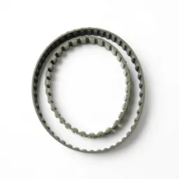 Cartridge belt