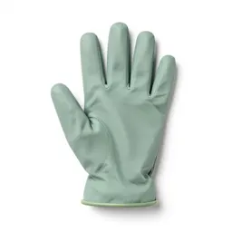 Mitten