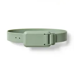 Money belt