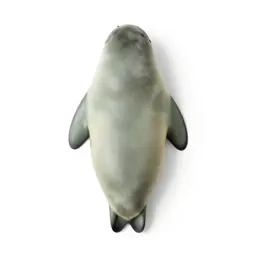 Sealskin