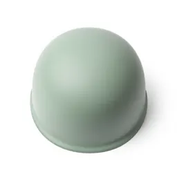 Skullcap