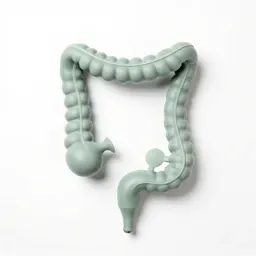 Colonoscope