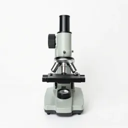 Electron microscope