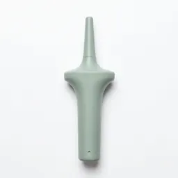 Endoscope