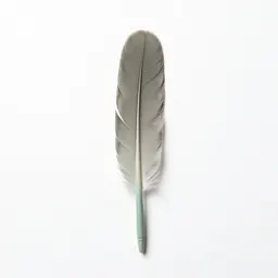 Quill