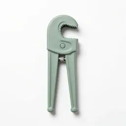 Chain tongs