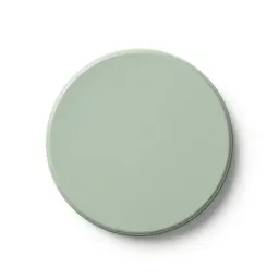 Circular plane