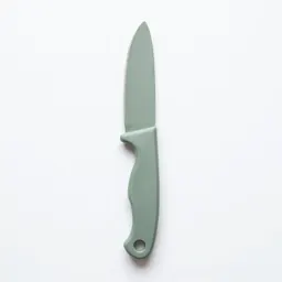 Clasp knife