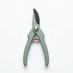 Pruner