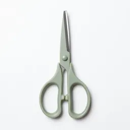 Scissors
