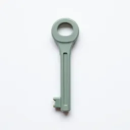 Screw key