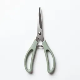 Thinning shears