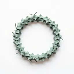 Crown of thorns