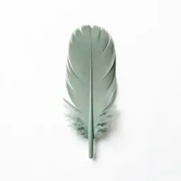 Plume
