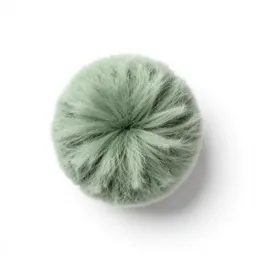 Pompon