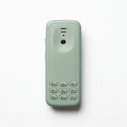 Cellular telephone