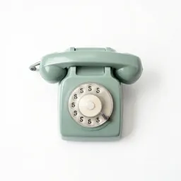 Dial telephone