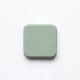 Dongle