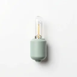Glow lamp