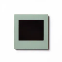 Microfiche
