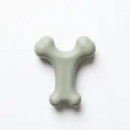 Bones