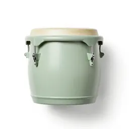 Bongo