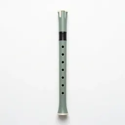 Pennywhistle