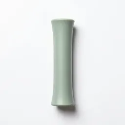 Rain stick