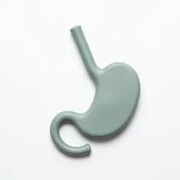 Gastroscope