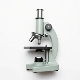 Light microscope