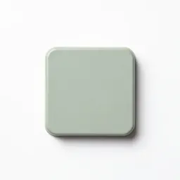 Strain gauge