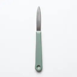 Surgical knife